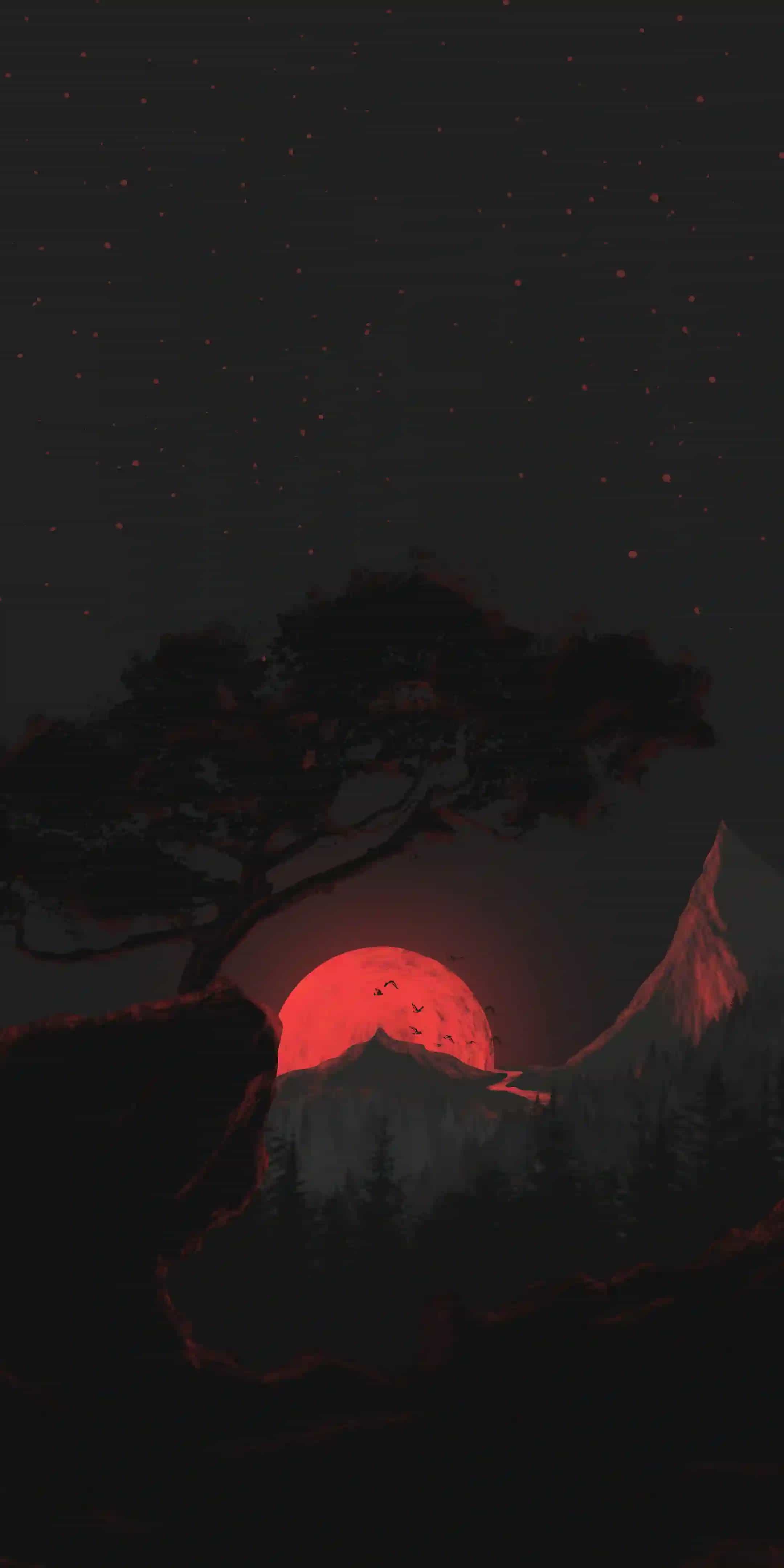 Wallpaper Placeholder 